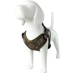 Hundeseler|Hvalpesele Og Hvalpeliner^Ollipet Justerbar Step-In Sele | Hvalpesele