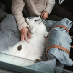 Autostol Til Hunde|Biltransport Af Hund^Ollipet Karma Deluxe Autokurv 2i1