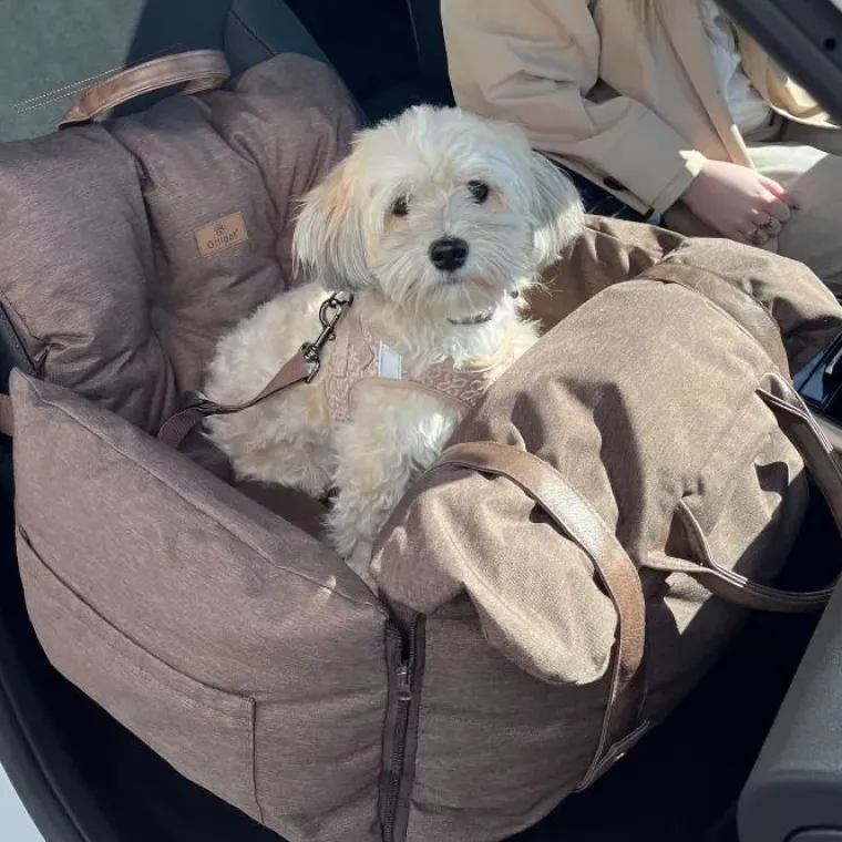 Autostol Til Hunde|Biltransport Af Hund^Ollipet Karma Deluxe Autokurv 2i1