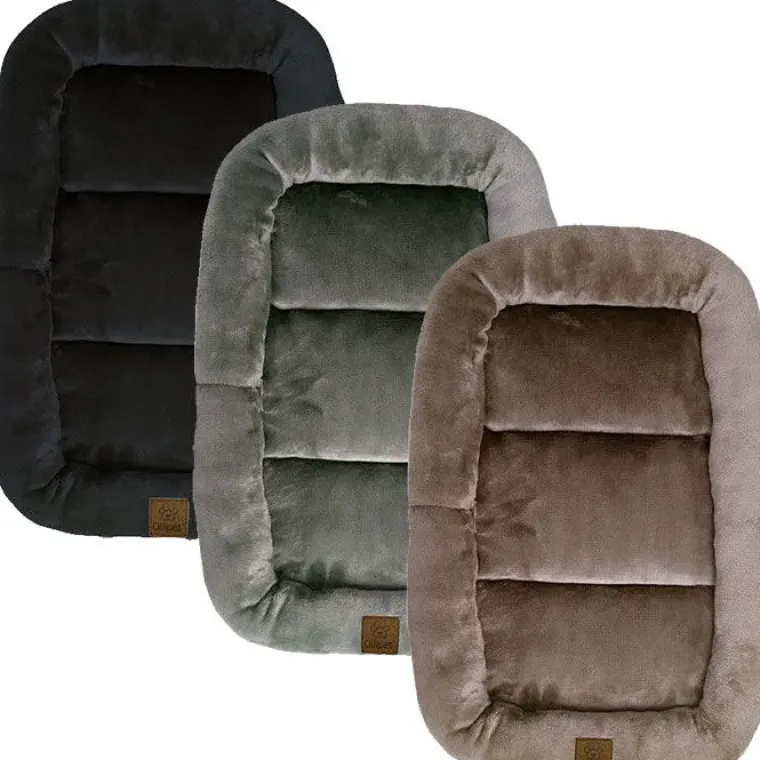 Hundesenge^Ollipet Kaya Wellness Madras