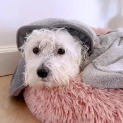 Pelsplejeredskaber|Håndklæder Og Forklæder^Ollipet Koala Dry bag