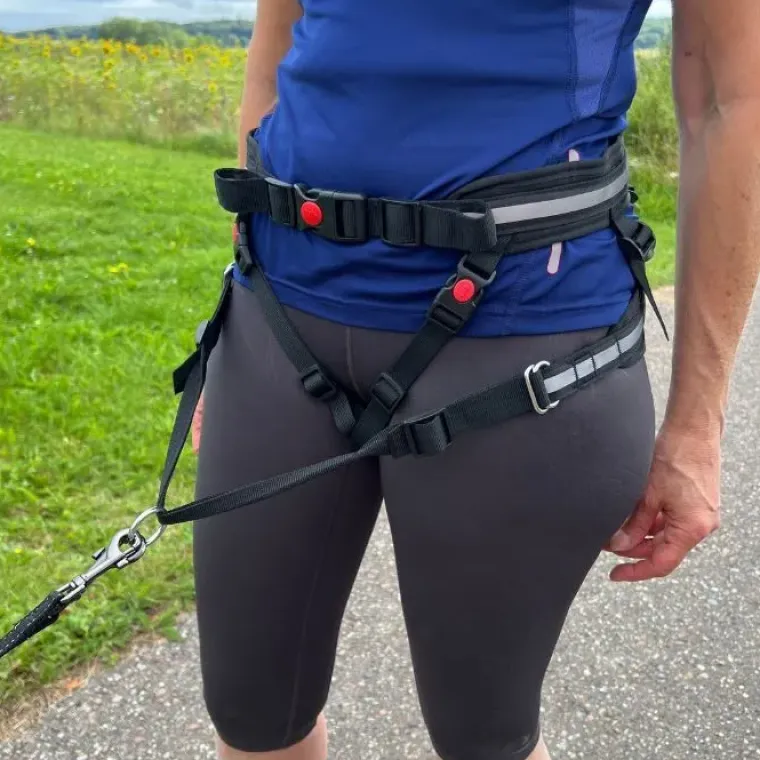Løbeturen^Ollipet Løbebælte Canicross X