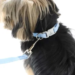 Halsbånd, Liner Og Seler|Hundesnor^Ollipet Macaron Hundesnor