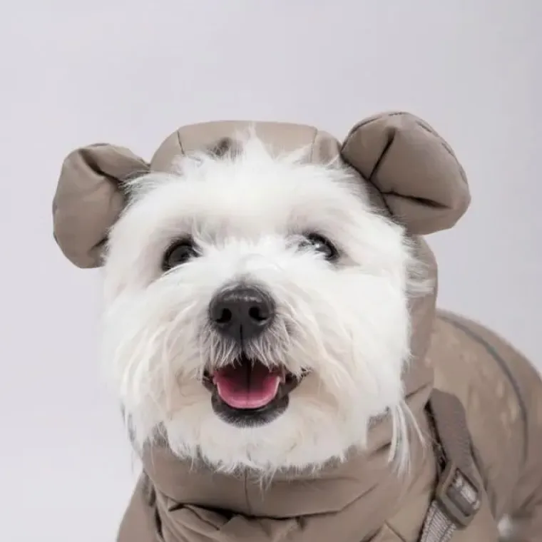 Julekurven|❄️Klar Til Vintervejret^Ollipet Mini Grizzly Bear Flyverdragt Khaki
