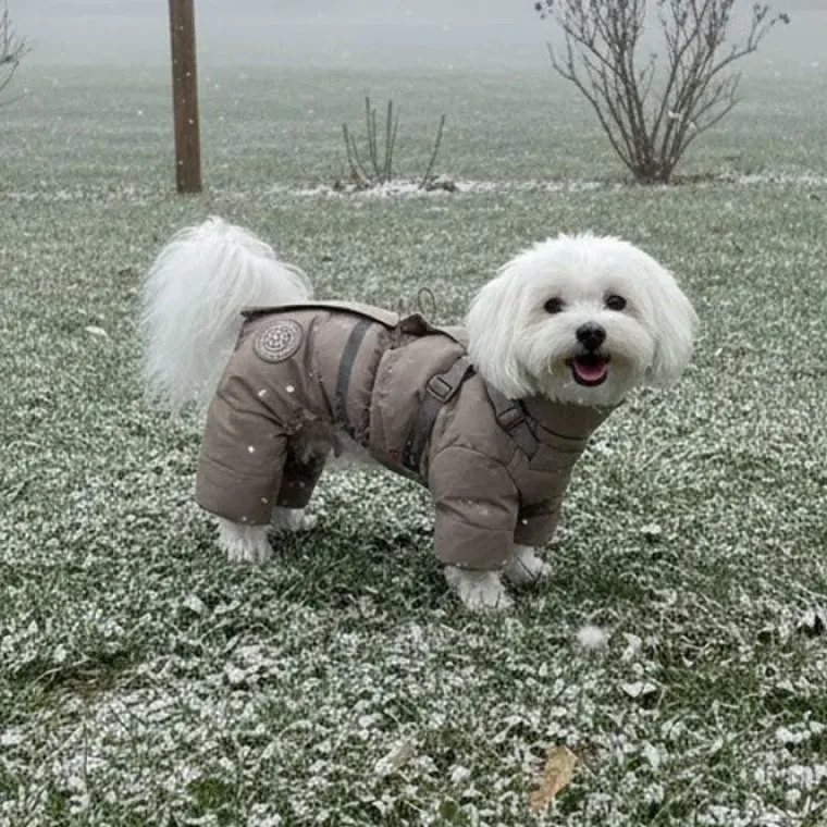Julekurven|❄️Klar Til Vintervejret^Ollipet Mini Grizzly Bear Flyverdragt Khaki