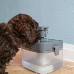 Skåle Til Mad Og Vand^Ollipet Mini Pet Water Fountain