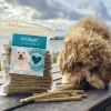 Godbidder Og Gnaveben^Ollipet Munchy Sticks | 100 stk.