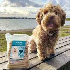 Godbidder Og Gnaveben^Ollipet Munchy Sticks | 100 stk.