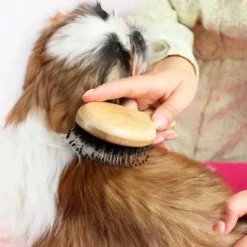 Pelsplejeredskaber^Ollipet Natural Mini Bambusbørste | Mix Brush