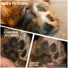 Poter Og Kløer|Hundeferien^Ollipet Naturlig Potevoks | 60g