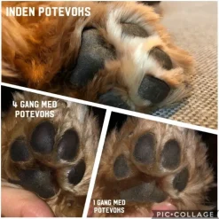 Poter Og Kløer|Hundeferien^Ollipet Naturlig Potevoks | 60g