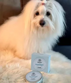 Poter Og Kløer|Hundeferien^Ollipet Naturlig Potevoks | 60g