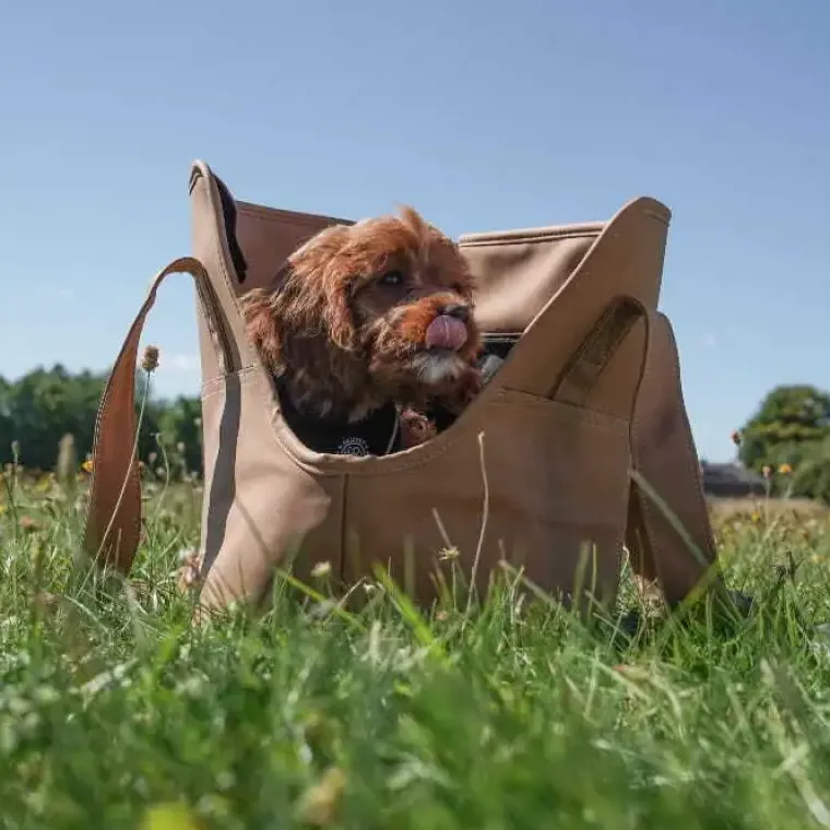 Hundetaske|Hundeferien^Ollipet Nice Hundetaske