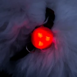 Efterårsklar|Løbeturen^Ollipet Night Light silicone LED lygte | mini