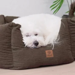Bestsellers|Hundesenge^Ollipet Nordic Star Hundekurv