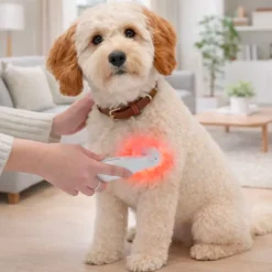 Helse Til Hunde|Bestsellers^Ollipet Petcare Infrarød Terapilampe | til kæledyr