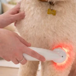 Helse Til Hunde|Bestsellers^Ollipet Petcare Infrarød Terapilampe | til kæledyr