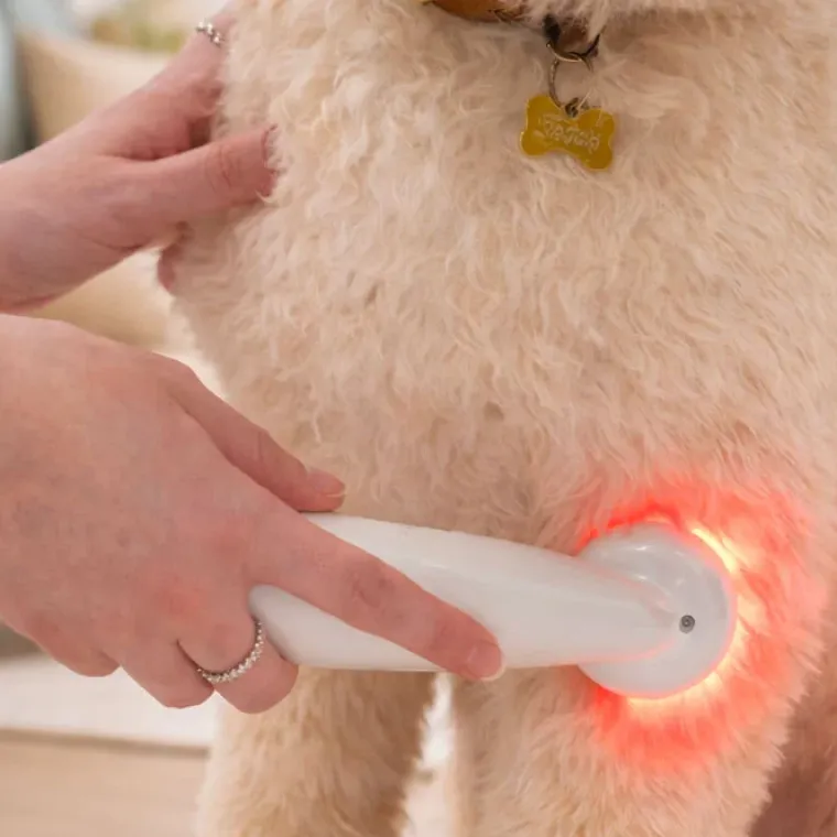 Helse Til Hunde|Bestsellers^Ollipet Petcare Infrarød Terapilampe | til kæledyr