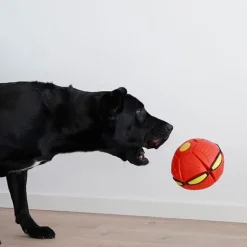 Bolde|Ollipet Hundelegetøj^Ollipet Power Frisbee Ball