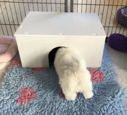Hvalpe Accessories|Nyfødte Hvalpe 0-8 Uger^Ollipet Puppy Home | OUTLET