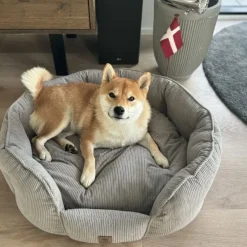 Bestsellers|Hundesenge^Ollipet Quinn hundeseng