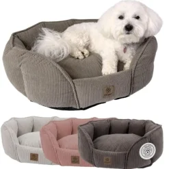 Bestsellers|Hundesenge^Ollipet Quinn hundeseng
