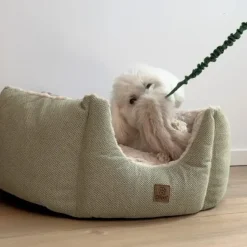Belønningslegetøj|Separationsangst^Ollipet Rabbit Tail Bungee | Belønningslegetøj