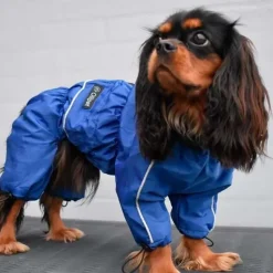 ❄️Klar Til Vintervejret|Hundetøj^Ollipet regndragt til hunde | Color Collection | OUTLET