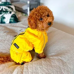 ❄️Klar Til Vintervejret|Hundetøj^Ollipet regndragt til hunde | Color Collection | OUTLET