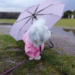 ❄️Klar Til Vintervejret|Hundetøj^Ollipet regndragt til hunde | Color Collection | OUTLET