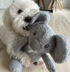 Ollipet Hundelegetøj|Plyslegetøj Til Hunde^Ollipet Safari Koalaen Alex