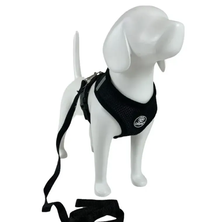 Hundeseler|Hvalpesele Og Hvalpeliner^Ollipet sele og line sæt | Mesh
