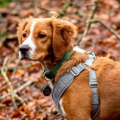 Hundeseler^Ollipet Seoul Step-in Sele + Line | OUTLET
