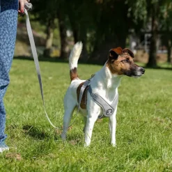 Hundeseler^Ollipet Seoul Step-in Sele + Line | OUTLET