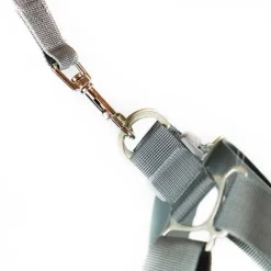 Hundeseler^Ollipet Seoul Step-in Sele + Line | OUTLET