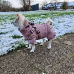 Hvalpetøj|❄️Klar Til Vintervejret^Ollipet Sirius DeLuxe Dynejakke