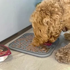 Aktivitetslegetøj Til Hunde|Snusemåtter/Slikkeplader^Ollipet slikkeplade med dejskraber