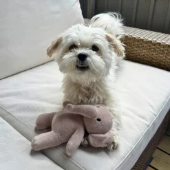 Hvalpelegetøj|Plyslegetøj Til Hunde^Ollipet Snuggle Buddies Retro Rollo & Bobo