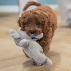 Hvalpelegetøj|Plyslegetøj Til Hunde^Ollipet Snuggle Buddies Retro Rollo & Bobo