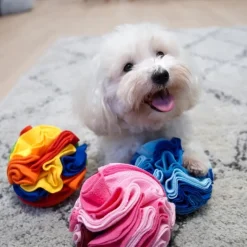 Aktivitetslegetøj Til Hunde|Snusemåtter/Slikkeplader^Ollipet Snusebold Flower
