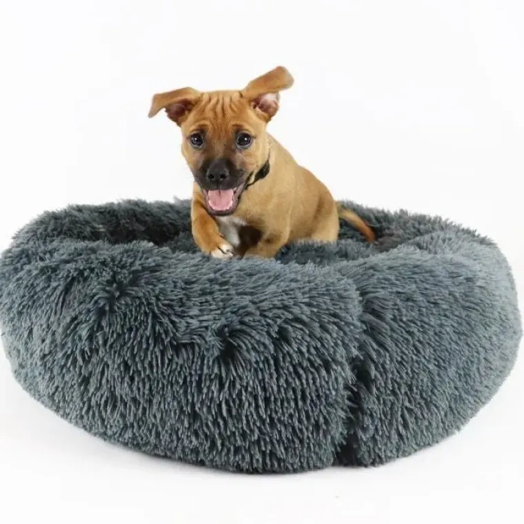 Separationsangst|Bestsellers^Ollipet Soft Cloud Donut Hundeseng