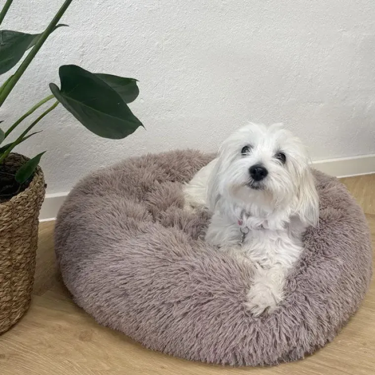 Separationsangst|Bestsellers^Ollipet Soft Cloud Donut Hundeseng