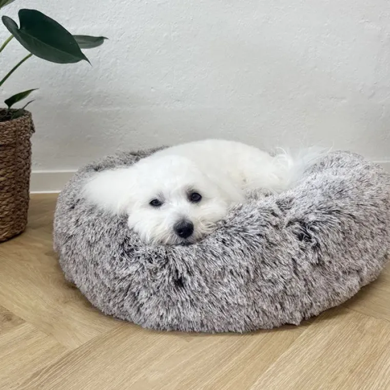 Separationsangst|Bestsellers^Ollipet Soft Cloud Donut Hundeseng