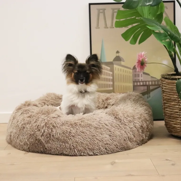 Separationsangst|Bestsellers^Ollipet Soft Cloud Donut Hundeseng