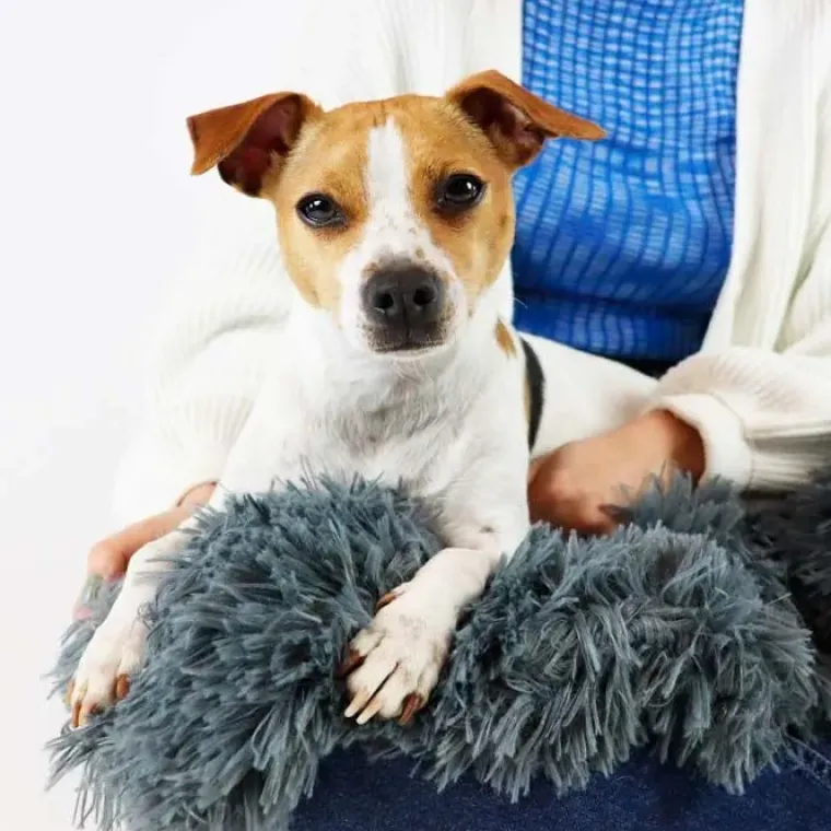 Separationsangst|Bestsellers^Ollipet Soft Cloud hundetæppe