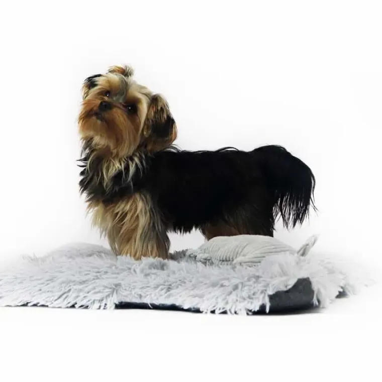 Separationsangst|Hundesenge^Ollipet Soft Cloud Madras 2in1 | OUTLET
