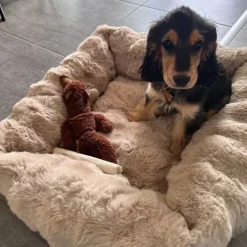 Hundesenge^Ollipet Soft wave Lounge hundekurv