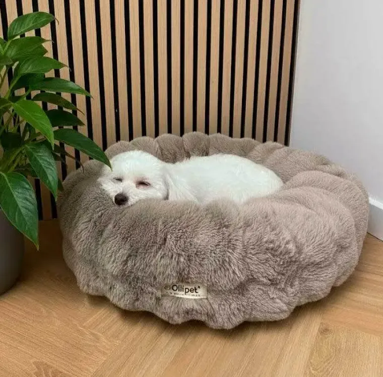 Hundesenge^Ollipet Soft Wave Luksus Donutseng | Khaki