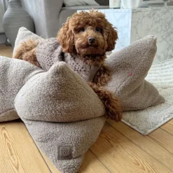 Hundesenge^Ollipet StarNest Hundeseng | Teddy