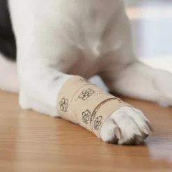Helse Til Hunde|Hundeferien^Ollipet Super Flex | Selvklæbende bandage 1 stk